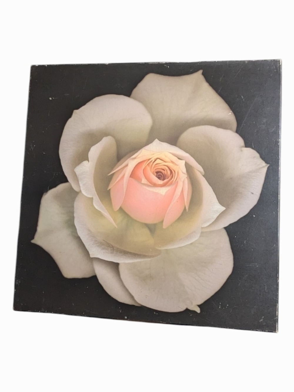 Z Gallerie Framed Wall Art — Brown Back Panel with Wire Hanger